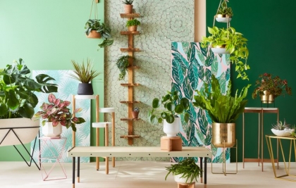 déco tendance plante intérieur