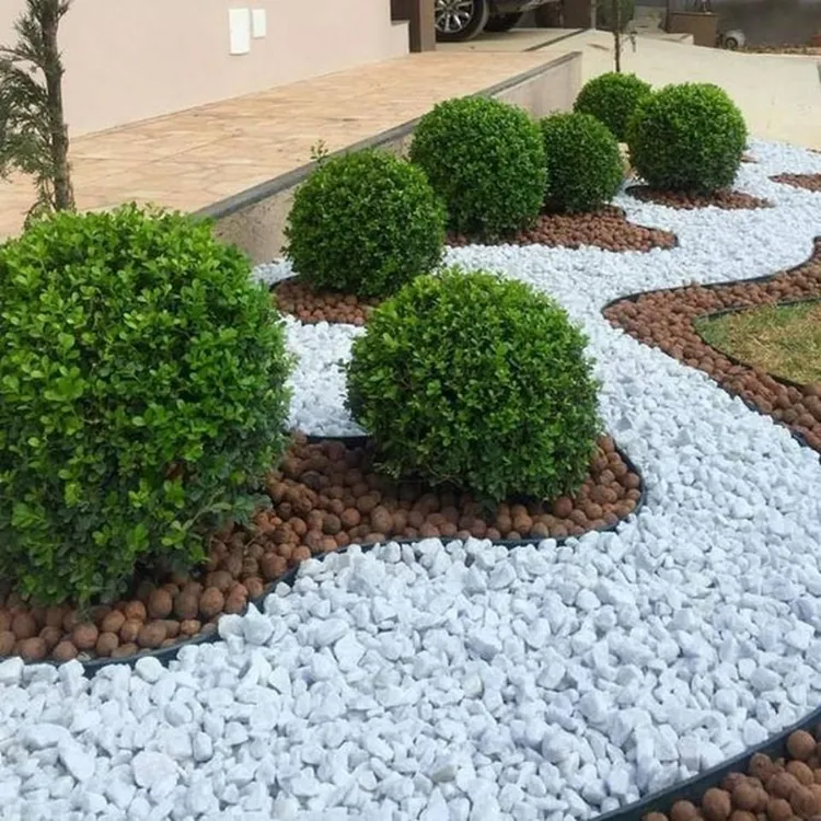 arbustes émergeants decoration jardin pierre