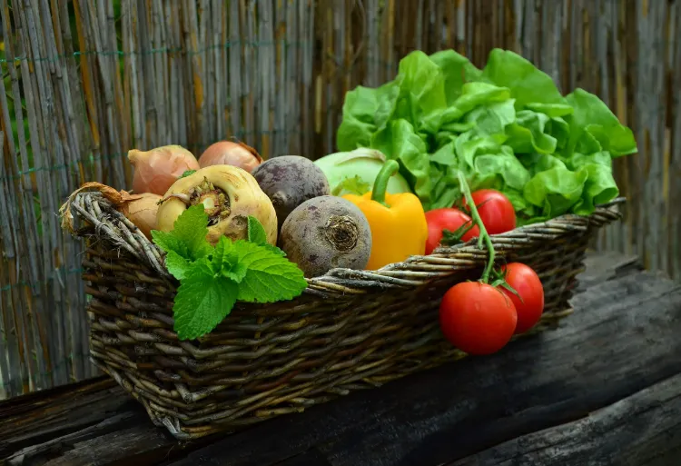 choix légumes créer potager