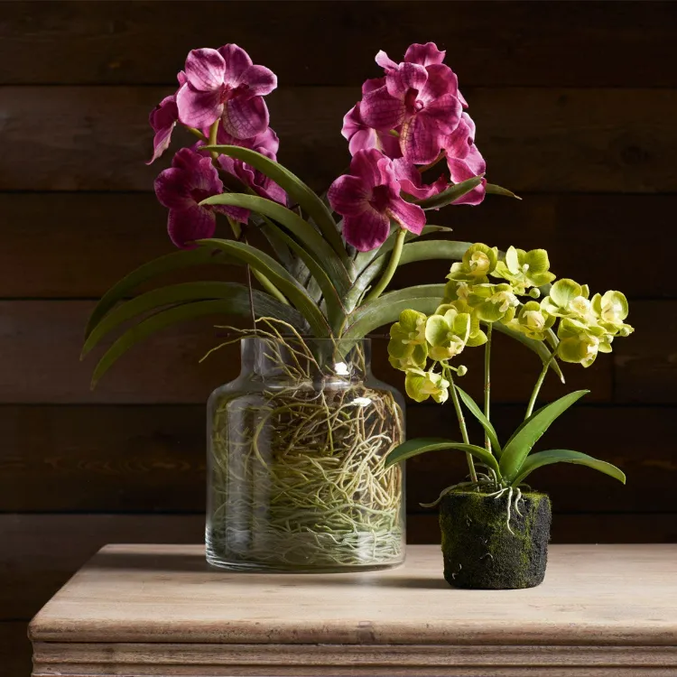 cymbidium orchidées dans vase