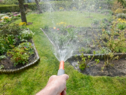 économiser l eau arrosage