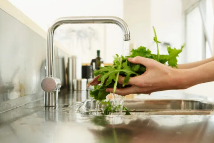 laver légumes fruits crus e coli