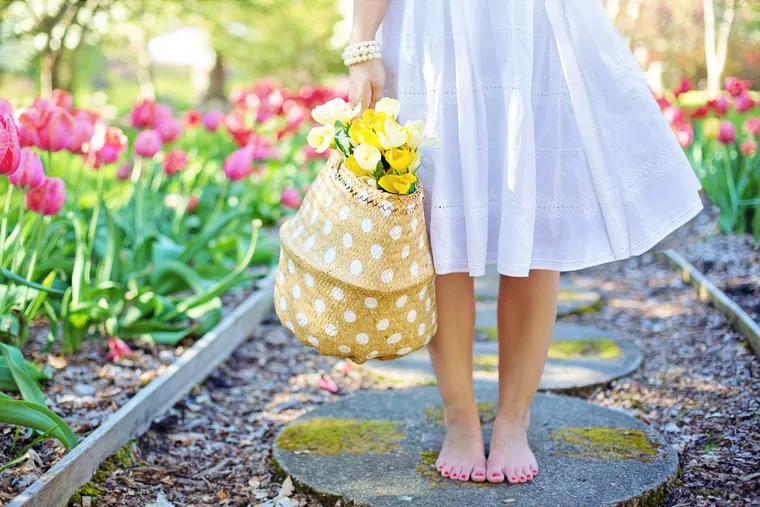 que planter en avril jardin potager