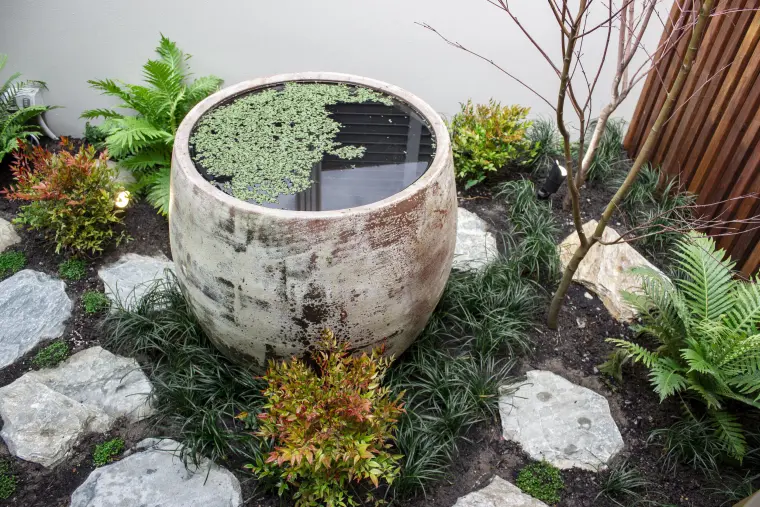 comment créer un jardin zen avec bassin