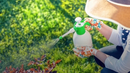 désherbant naturel à fabriquer soi-même