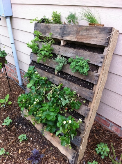 idées projets potager vertical