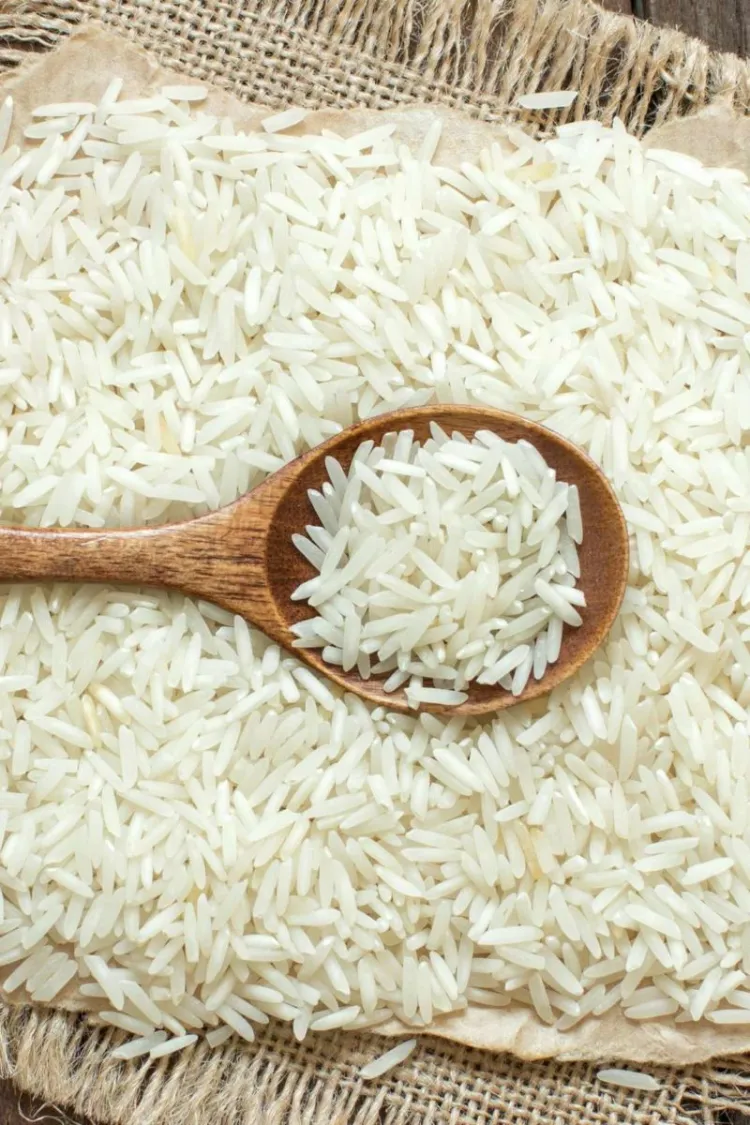 le riz fait il grossir tout savoir