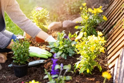 plantes florifères à planter cet avril