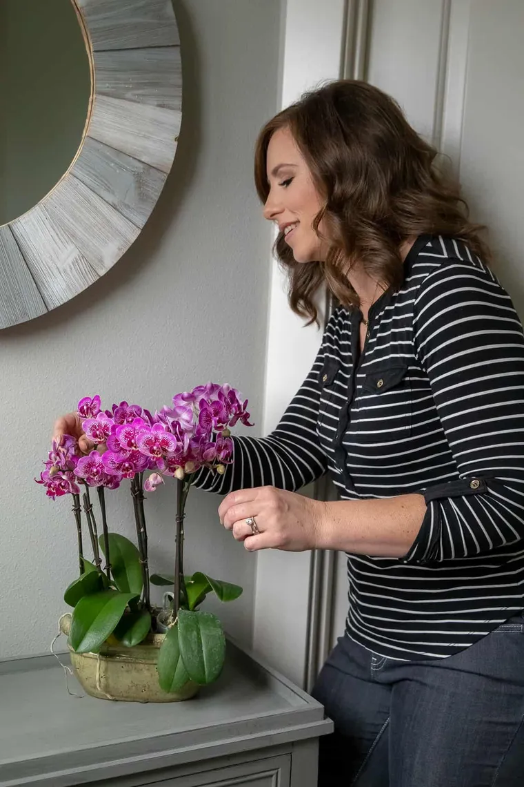 comment entretenir des orchidées après floraison