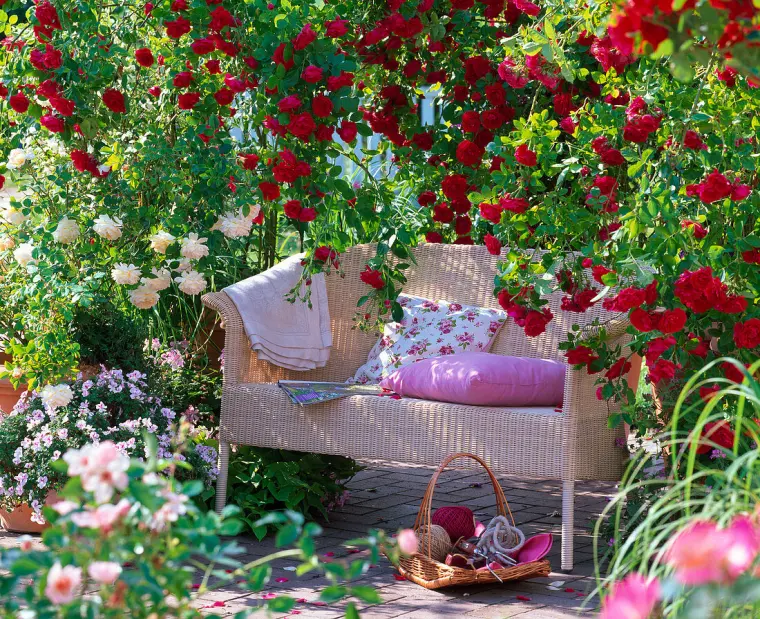 déco de jardin avec roses grimpantes