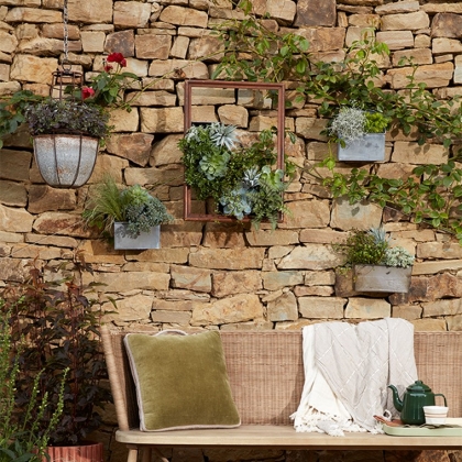 déco mur extérieur pas cher plantes