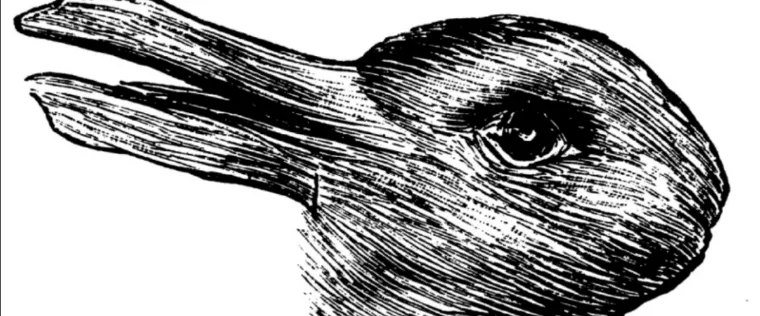 lapin canard illustration image