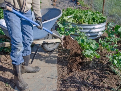 bicarbonate de soude jardin que traite-t-il