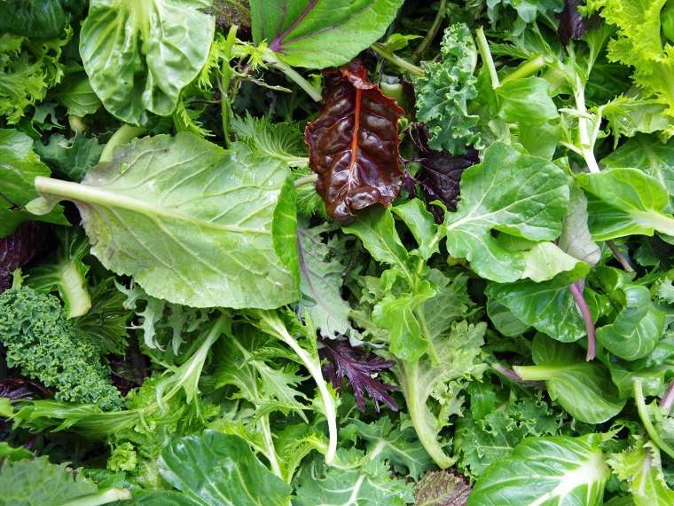comment cultiver des salades au jardin qui poussent rapidement