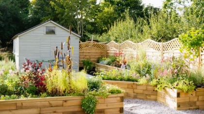 jardin sans entretien conseils