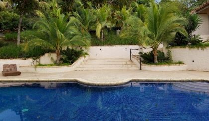 piscine moderne style exotique