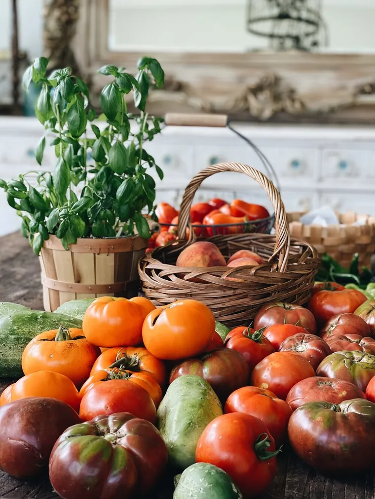 augmenter sa récolte de tomate potager