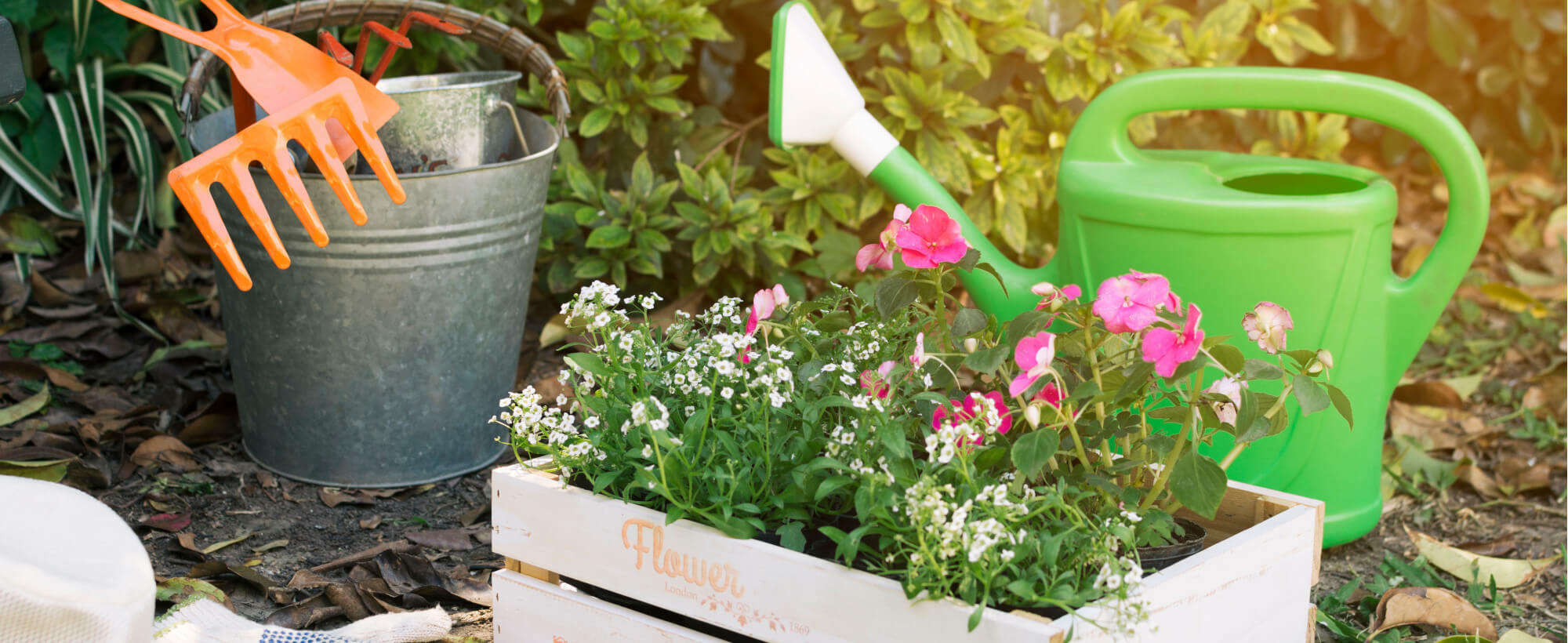 calendrier lunaire jardinage juillet 2022 gratuit