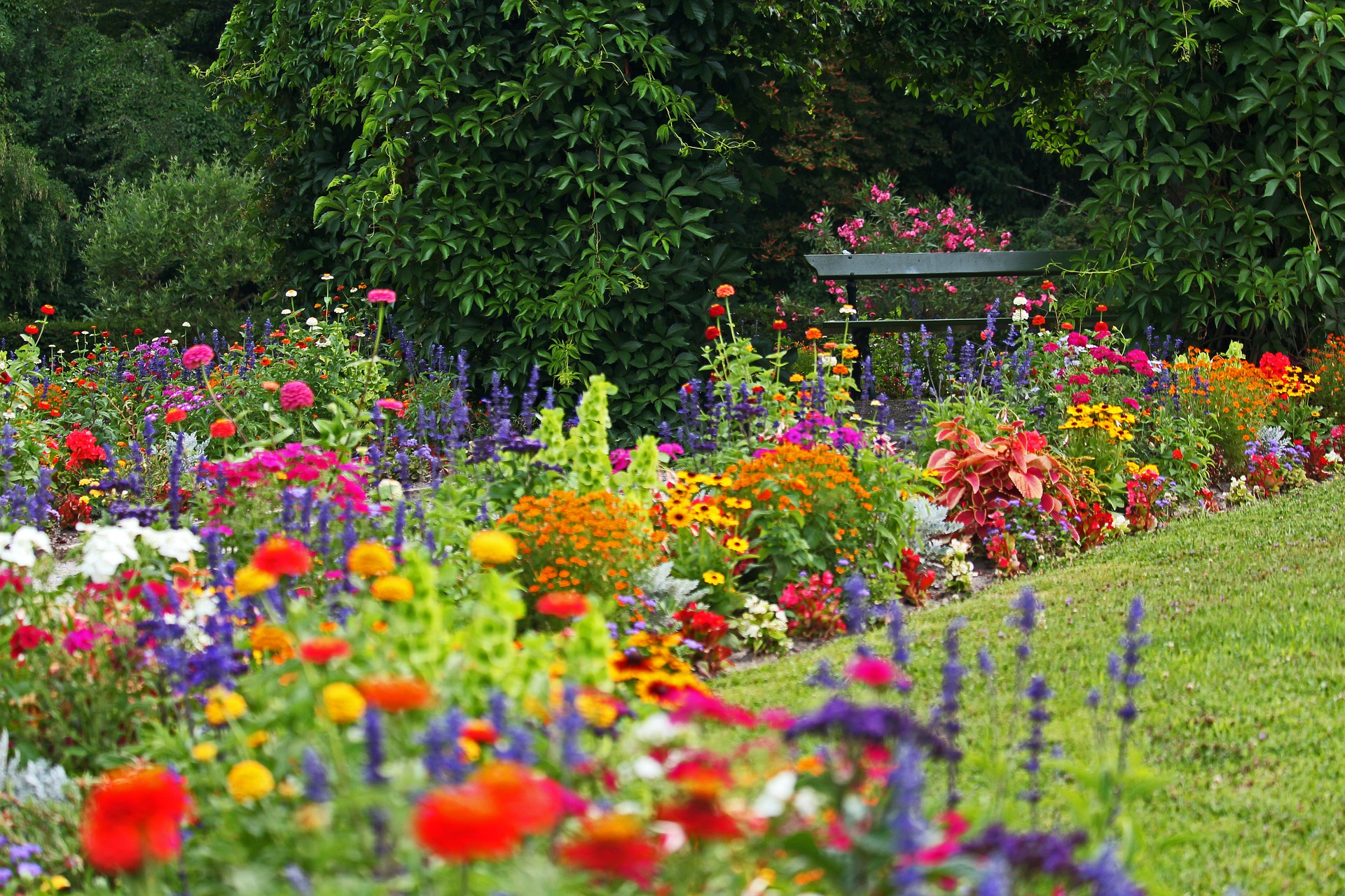 calendrier lunaire jardinage juillet 2022