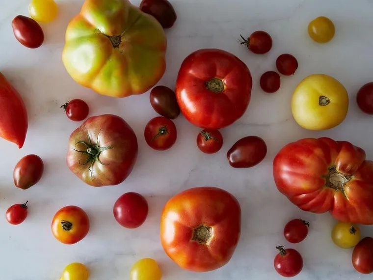comment conserver les tomates fraîches