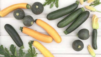 cultiver des courgettes astuces