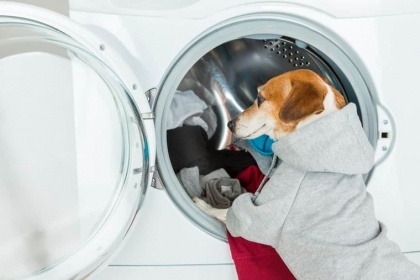 éliminer poils animaux lave linge