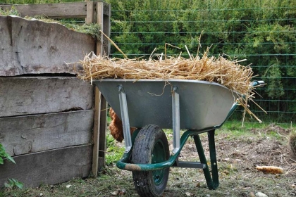 que faire avec l'herbe tondue