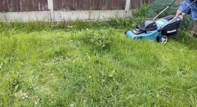 tondre la pelouse trop haute facilement