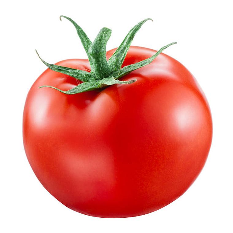 graines de tomates