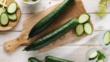 legumes jardin soin prevention