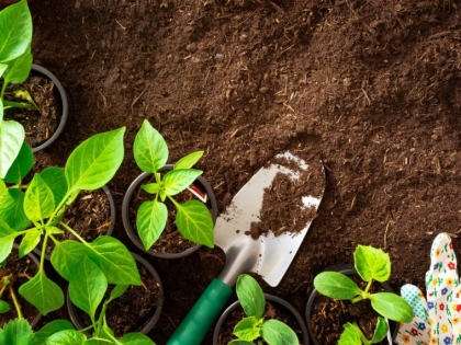 planter en septembre