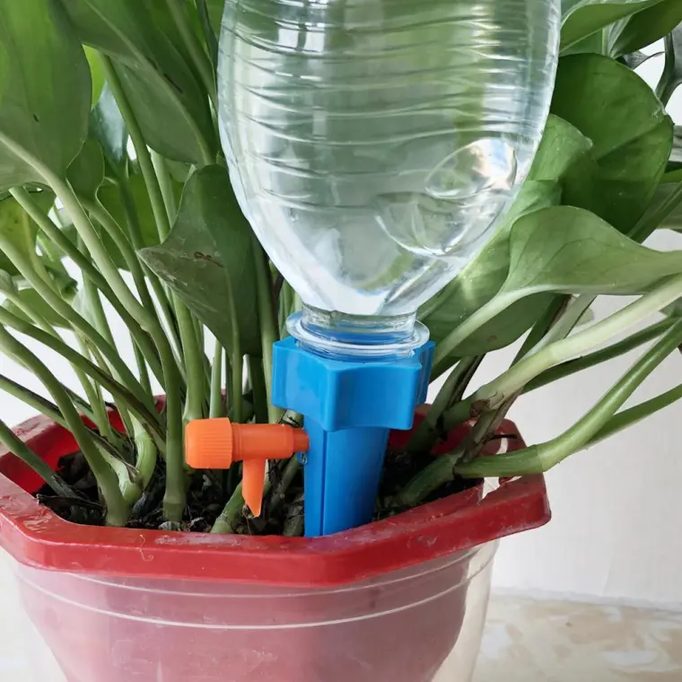 système d'arrosage plantes vacances avec bouteille d'eau