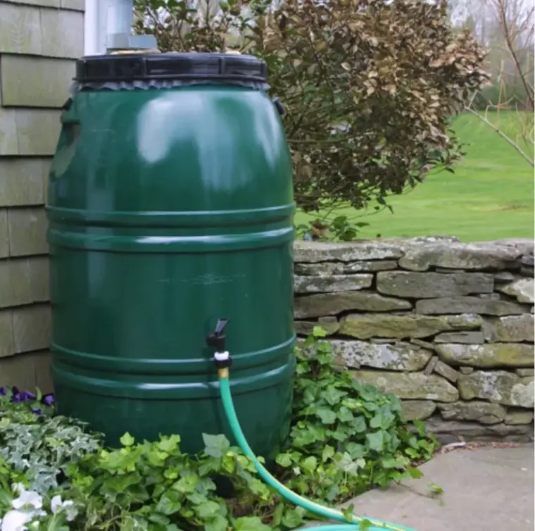 avis récupérateur d'eau de pluie