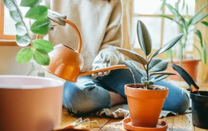 combien de temps peut tenir une plante sans eau