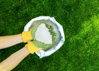 fertiliser votre pelouse