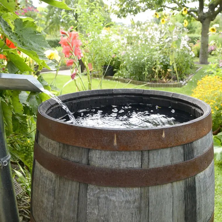 meilleur récupérateur d'eau de pluie