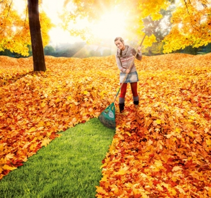 feuilles mortes