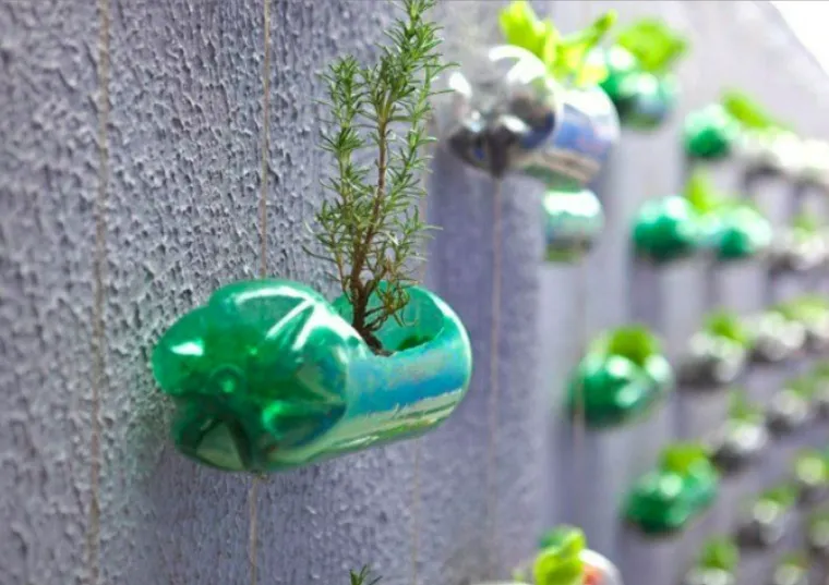 jardin vertical matériaux recyclés