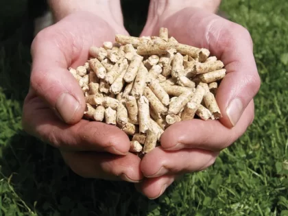 pellets de bois
