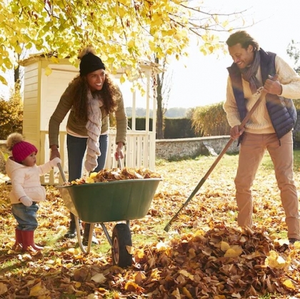 Comment préparer les plantes pour l’hiver en automne 2022