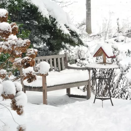 Comment préparer votre jardin pour l'hiver en 2022