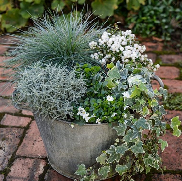 Comment Prot Ger Ses Plantes Sur Un Balcon R Sistant L Hiver Designmag Fr Int Rieur