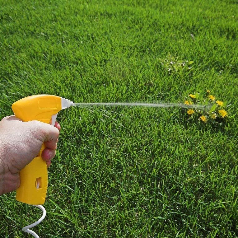 Comment se débarrasser des mauvaises herbes naturellement