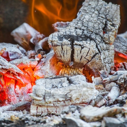 Les cendres de bois sont-elles un bon engrais pour votre pelouse