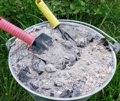 Quelles plantes aiment les cendres de bois Une liste