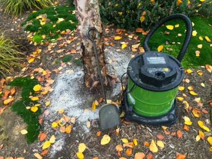 quand mettre de la cendre au pied des arbres