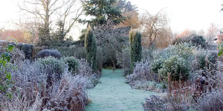 par quoi remplacer un voile d'hivernage