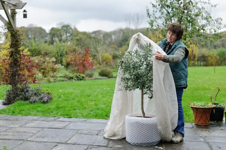 voile d'hivernage pas cher