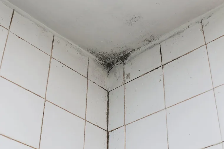 Comment nettoyer la moisissure du plafond de la salle de bains