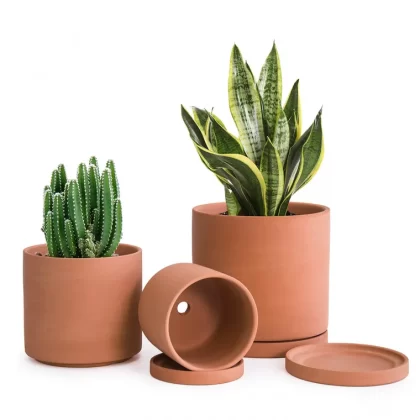 Les pots en terre cuite sont-ils bons pour les plantes
